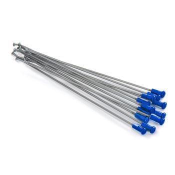 SPOKES 19 RR SI /BL NIP 12PC