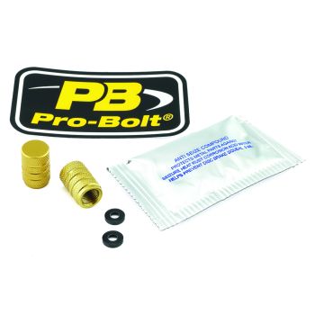 CAP VALVE STEM GOLD