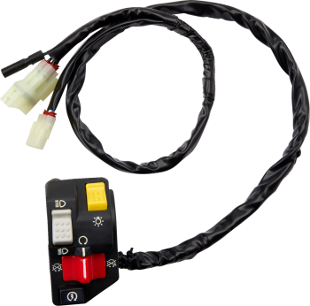 SWITCH BLOCK ASSEMBLY HONDA