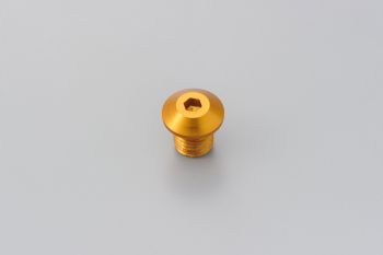 MIRROR PLUG BOLT GD RIGHT