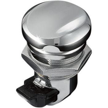 PUSH-BUTTON FUEL DOOR LATCH -