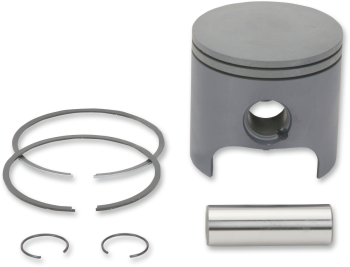 PISTON ASSY POLARIS STD