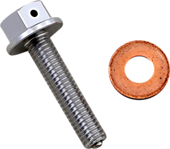 DRAIN PLUG MAGNETIC SLVR