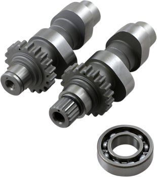 CAM TW48 TC 99-06