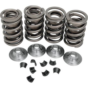 VALVE SPRING KIT 66-E84BT
