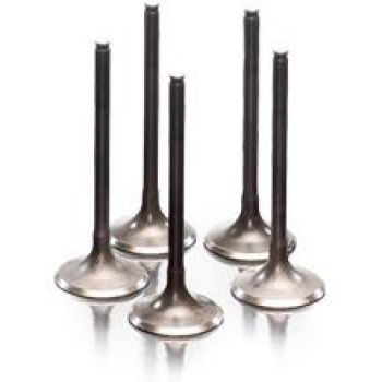 VALVE EX STEEL XT/TTR+MAJESTY