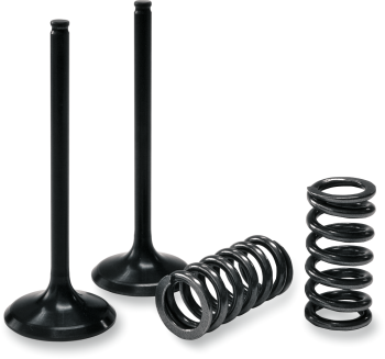 VALVE IN/SPRING KIT SX-F/EXC-F