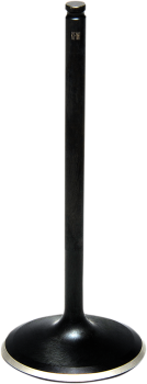 VLV IN STD RZR1000 15-21