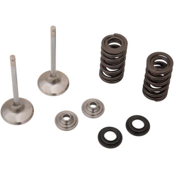 VALVE EX MSE CRF450 RX/WE