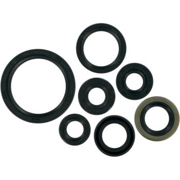 SEAL-KIT OIL-KLX/DRZ400