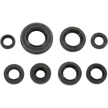 SEAL-KIT OIL-CR85R