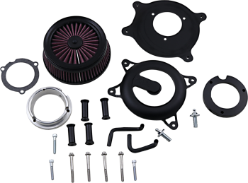 AIR CLEANER RG BL L-ST FL