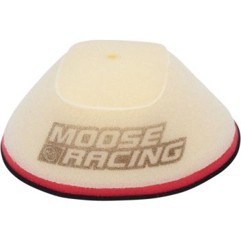 AIR FILTER RPTR 250