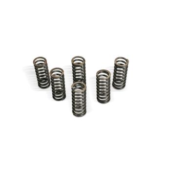 CLUTCH SPRING KIT YAM