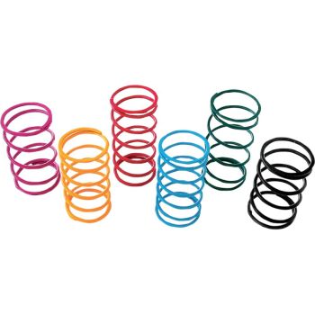 VARIATOR SPRINGS