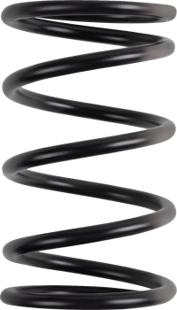 PRIMARY CLUTCH SPRING (BLACK/R