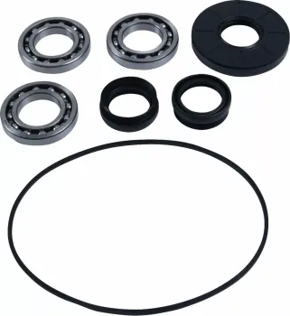 BEARING DIFFERENTIAL/SEAL KIT