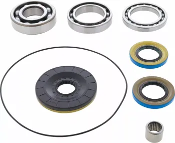 BEARING DIFFERENTIAL/SEAL KIT