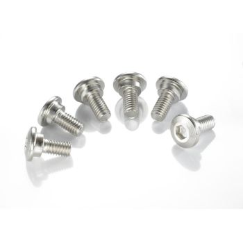 Piduriketta poldid M6x1x17 6tk pakis