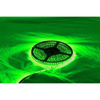 LIGHT REEL GREEN