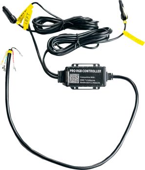 WHIP WIRE HARNESS BT PAIR (4PI
