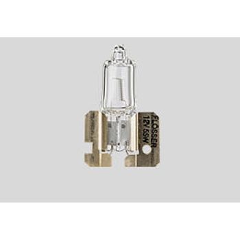 BULB H21W 12V BAY9S 10PK