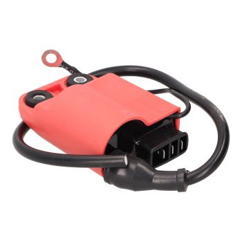 CDI UNIT W/ IGNITION COIL
