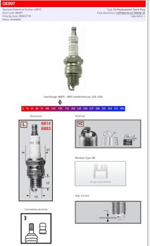 CHAMPION S-PLUG L87YC
