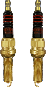 SPARK PLUGS CHALLENGER