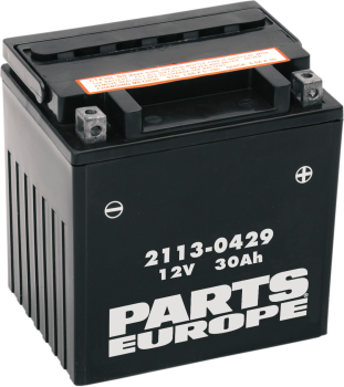 BATTERY MF YIX30L-BS