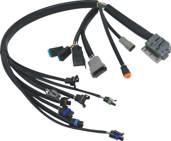 HARNESS EFI 04-05 FLH/FLT