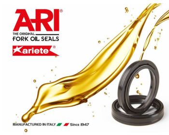 ARI Oil seal, 48 x 61 x 11