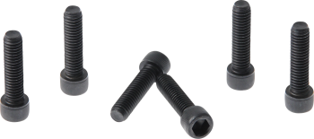 FORK TRIPLE CLAMP SCREWS