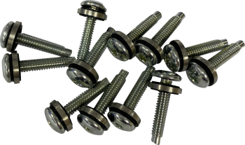 SCREW EFI MNT(1331) 12PK