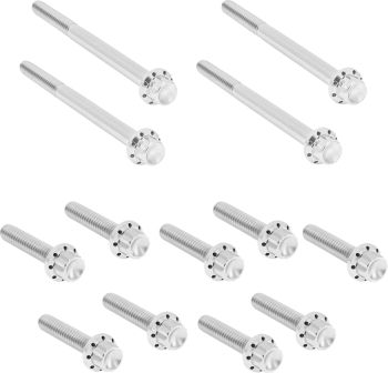 BOLT KIT TITANIUM - SOFTAIL 18