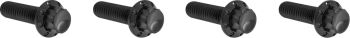 BOLT KIT TITANIUM - M8 24-25 -