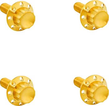 BOLT KIT TITANIUM - FLT 15-23