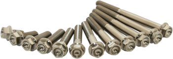 TITANIUM BOLT M6X30 PACK OF 2