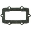 Sno-X Reed gasket Rotax