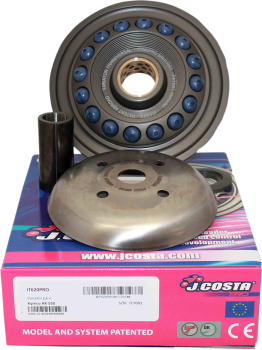 VARIATOR YAM XMAXXCITY