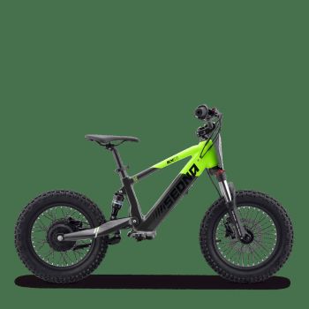DRAISIENNE ÉLECTRIQUE SEDNA SX 16" VERT