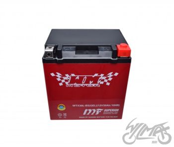 batteri WTX30L-BS