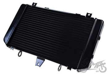 Kylare DO Kawasaki ZRX