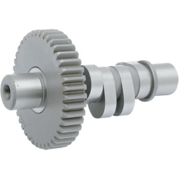 #1 CAM F/48-69 BIG TWIN