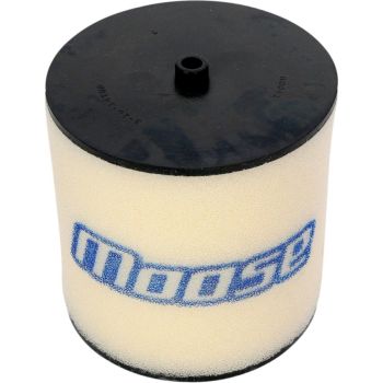 AIR FILTER 250EX/RECON/SPTRX