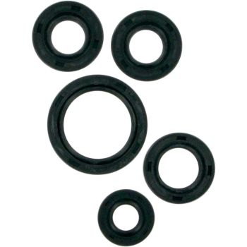MSE MTR SEALS KLF 220