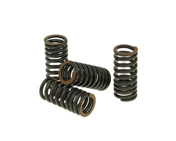 valve spring set Malossi Titanium for Aprilia, Piaggio, Vespa, Gilera V4