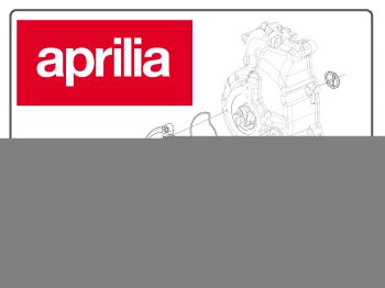 SW-Ring APRILIA MOJITO chromed