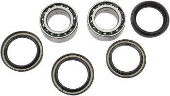RR WHEEL BRG KIT RINCON