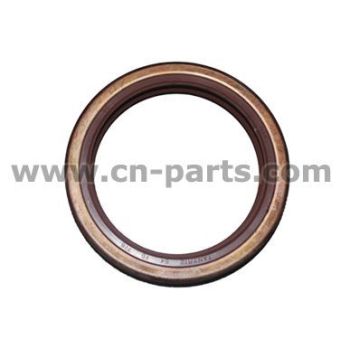 Variaatori simmerling 54 x 70 x 8